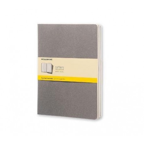 Moleskine CH322 - Set de 3 diarios cuadriculados de bolsillo, color gris claro