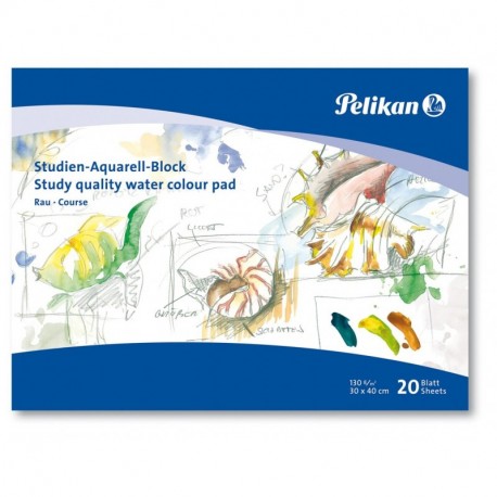 Pelikan 251041 - Bloc para acuarela SR3, 20 páginas, 30 x 40 cm 