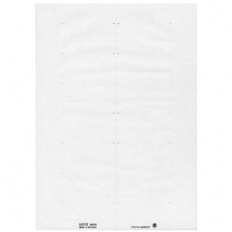 Leitz 66430001 Rectángulo Color blanco - Etiqueta autoadhesiva Color blanco, Rectángulo, 73 x 40 mm, A4, Universal, 215 x 32