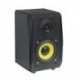 Dynavox TG-1000B - Altavoces de estantería HiFi, 30 W RMS 8 ohms, 60 Hz - 20 kHz , color negro