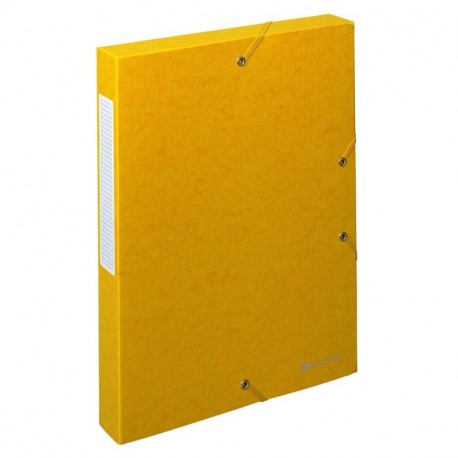 Exacompta 50819E - Carpeta de proyecto con goma, color amarillo