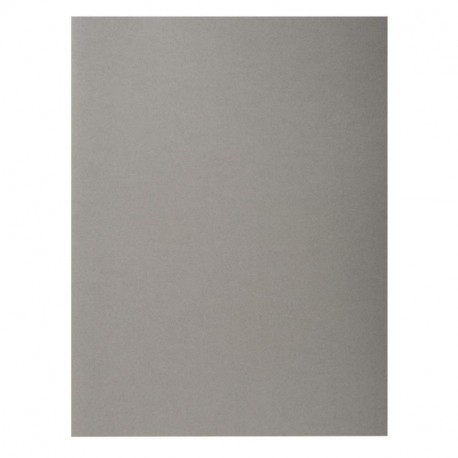 Exacompta 800009E - Lote de 100 Subcarpetas Rock"S 80, Color Gris