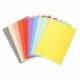 Exacompta 410000E - Lote de 100 Subcarpetas Forever® 10, Colores Surtidos