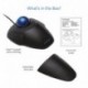 Kensington K72337EU Orbit Mouse - Ratón Ergonómico con Cable y Anillo de Desplazamiento, Compatible con Windows y Macos, Negr