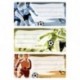 HERMA 5598 Nombre de cuaderno etiquetas para la Escuela, diseño de fútbol, formato 7,6 x 3,5 cm, contenido por paquete: 9 eti