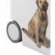 Curver Contenedor Alimentos 12 Kg con ruedas Perros