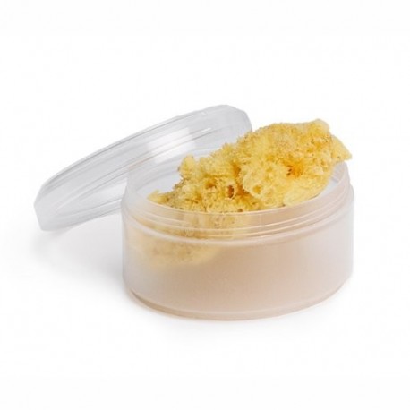 Suavinex 400025 - Esponja natural canastilla con caja