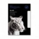 Blake Premium Office 34213 Papel Color blanco - Sobre C5 162 x 229mm , Papel, Color blanco, 229 mm, 16,2 cm 