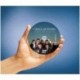Avery España L6043-25.Caja de 50 etiquetas blanca cubriente para CD. Diam. 117mm