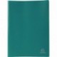 Exacompta 8533E - Carpeta de 30 fundas de PVC, A4, color verde