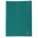 Exacompta 8533E - Carpeta de 30 fundas de PVC, A4, color verde