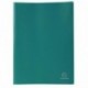 Exacompta 85103E - Carpeta de 100 fundas PVC, A4, color verde