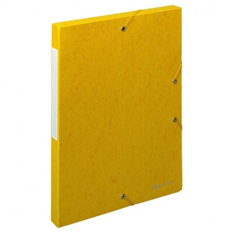 Exacompta 50709E - Carpeta de proyecto con goma, color amarillo