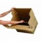 Bankers Box 62053 - Caja de transporte y mudanza, grande, color beige