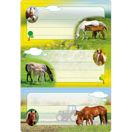 HERMA 5568 Nombre de cuaderno etiquetas para la Escuela, diseño de caballos, formato 7,6 x 3,5 cm, purpurina, contenido por p