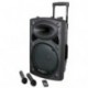 Ibiza Sound PORT12VHF- BT - Megafonia portatil 700 W, USB Bluetooth , color negro