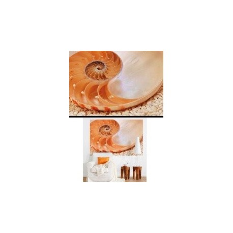 Komar Papel Pintado Fotográfico Nautilus – 127 x 184 cm