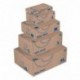 Nips 141312162 Mail-Pack Basic - Caja para envíos, 20 unidades, tamaño mediano, 330 x 250 x 110 mm, color marrón y azul