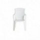 PRO GARDEN Progarden 8330005 - Silla resina ratán, respaldo alto, eden, color blanco