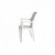 PRO GARDEN Progarden 8330005 - Silla resina ratán, respaldo alto, eden, color blanco