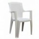 PRO GARDEN Progarden 8330005 - Silla resina ratán, respaldo alto, eden, color blanco