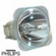 OPTOMA SP.8EH01GC01 - Bombilla de recambio PHILIPS
