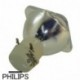 OPTOMA SP.8EH01GC01 - Bombilla de recambio PHILIPS