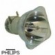 OPTOMA SP.8EH01GC01 - Bombilla de recambio PHILIPS