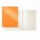 Leitz 30010044 - Carpetas A4, con fastener, 10 unidades , color naranja