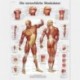 3B Scientific VR0118L - Póster explicativo sobre la columna vertebral humana en alemán 