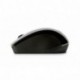 HP H2C22AA - Mouse optico inalambrico x3000, USB, 1200 dpi gris metãllico negro brillante