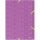 Leitz 45190089 - Carpeta 33 x 25.4 cm, 270 g, capacidad de 250 hojas , color violeta