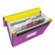 Leitz 45190089 - Carpeta 33 x 25.4 cm, 270 g, capacidad de 250 hojas , color violeta