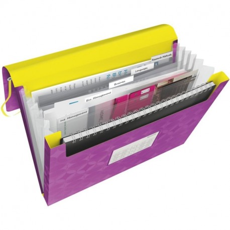 Leitz 45190089 - Carpeta 33 x 25.4 cm, 270 g, capacidad de 250 hojas , color violeta