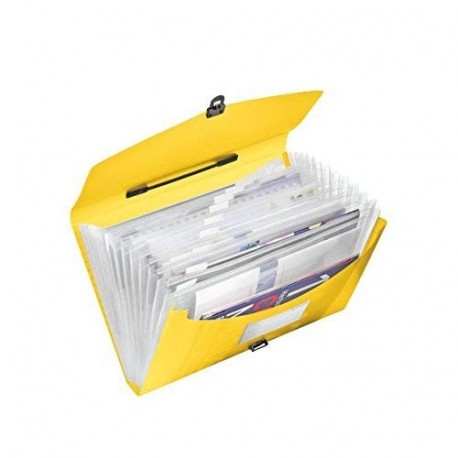 Esselte Vivida 624027 - Carpeta acordeón con asa, A4, 12 pestañas, Amarillo