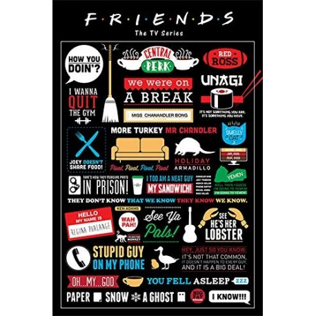 Friends Infographic Poster, sin laminar