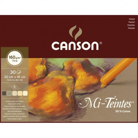 Canson Mi-Teintes - 1 bloc de papel, 32 x 41 cm, color tonos tierra