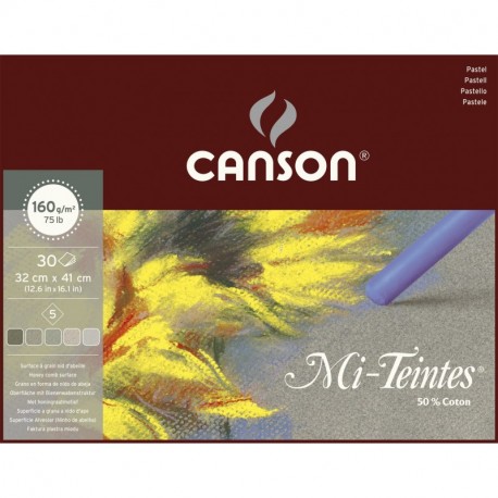 Canson Mi-Teintes - 1 bloc de papel, 32 x 41 cm, color tonos tierra