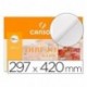 Canson 402766 - Papel para dibujo, 250 hojas