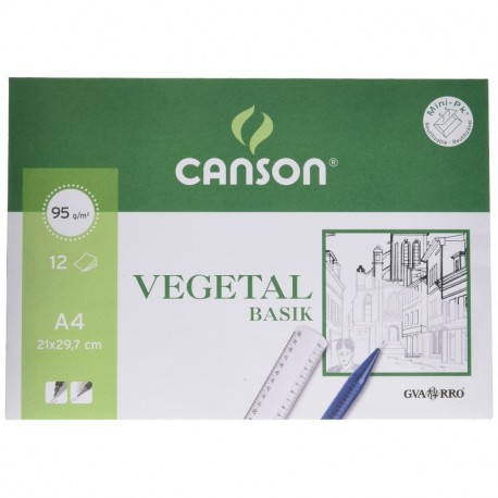 Canson 407621 - Papel para acuarela, 12 hojas