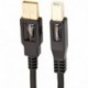 AmazonBasics - Cable USB 2.0 de tipo A macho a tipo B macho 3 m 