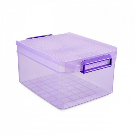 Caja Multiuso Plastico Transparente con Tapa, Cierre Presion, Ruedas y Asa,  60l