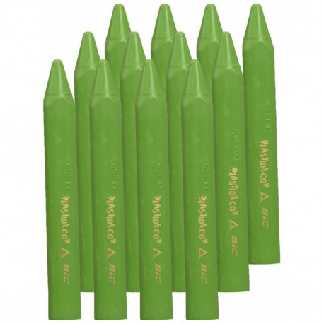 BIC 421903 - Pack de 12 lápices, color verde