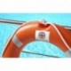 Avery España L7915-10 - Pack de 10 hojas de etiquetas de seguridad, 99.1 x 139 mm, color blanco