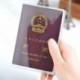 Malloom®claro transparente viajar pasaporte funda cubierta gestión tarjeta de identificación protector