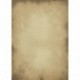 Diseño Papel Pergamino – Set – Papel de carta + sobres DIN LANG sin ventana 25 Blatt Briefpapier + 25 Kuverts