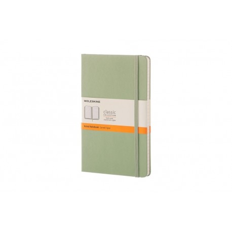 Moleskine QP060K12 - Cuaderno de rayas, L 13 x 21, color verde