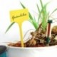 COM-FOUR® 45x Señales de planta, tapones de planta para etiquetado, etiquetas enchufables, 15 cm 45 piezas - amarillo sin ma