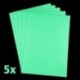 PREMIUM – Papel de neón 5 unidades/Luminoso Fluorescente Neón de papel para impresión en color DIN A4, para impresora de iny