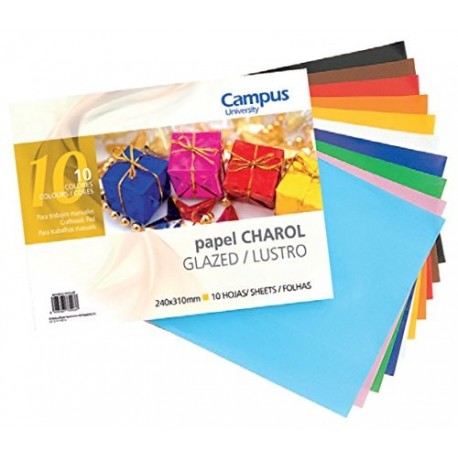 Campus University 630096 - Pack de 10 hojas de papel charol, 24 x 31 cm